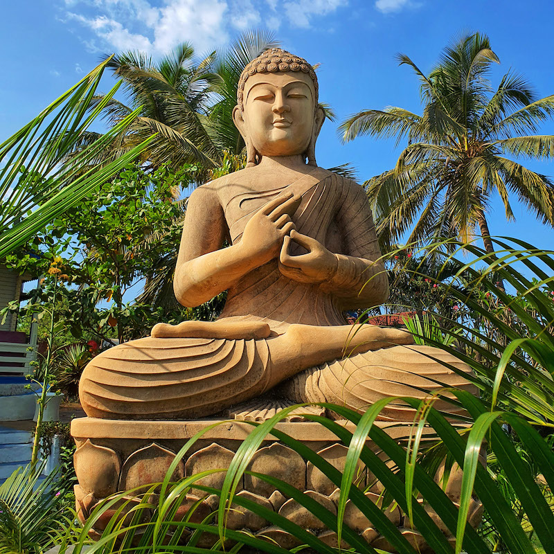 palm trees surrounding a buddha statue with clear blue skies